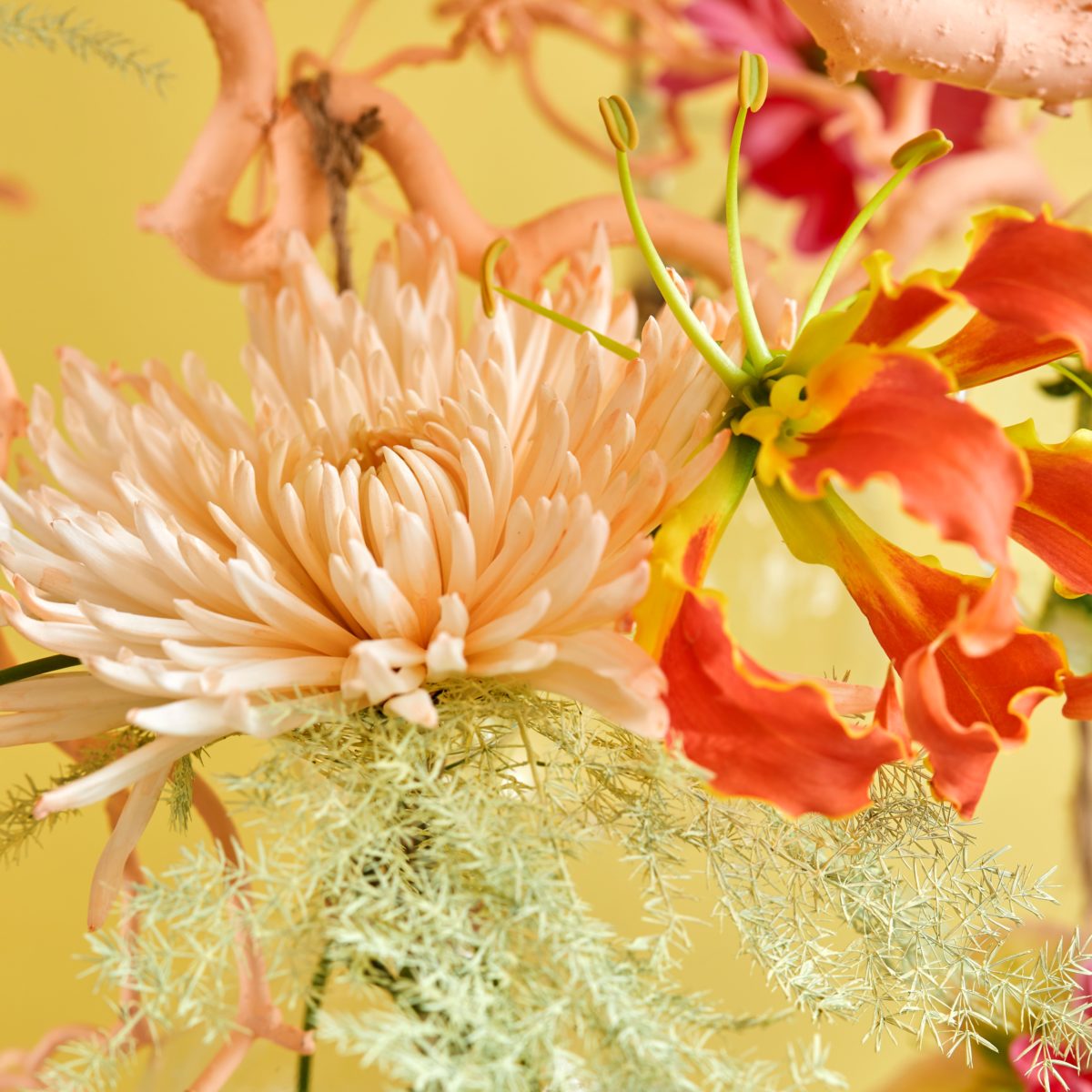 MultiColorFlowers0762