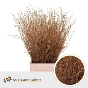 Berk Antique – 70cm