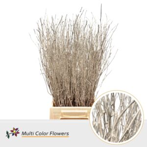 Berk Beige metallic – 70cm