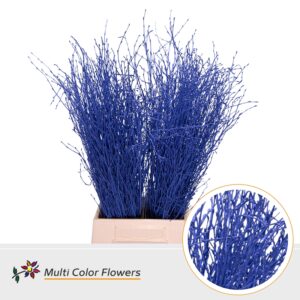 Berk Blauw donker – 70cm