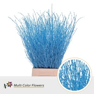 Berk Blauw licht – 70cm