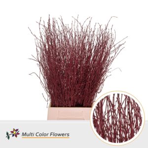 Berk Bordeaux – 70cm