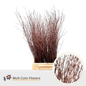 Berk Bordeaux metallic – 70cm