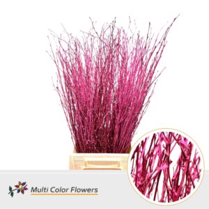 Berk Erica metallic – 70cm