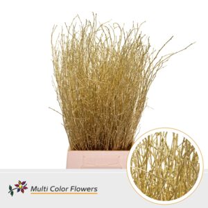 Berk Goud – 70cm
