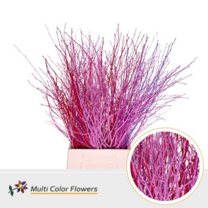Berk Love Mix – 70cm