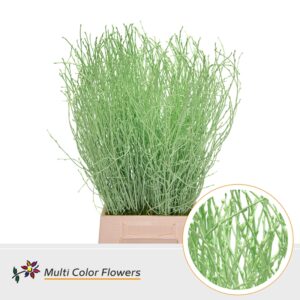 Berk Mint – 70cm
