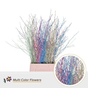 Berk Pastel Mix – 70cm