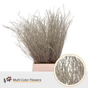 Berk Platina – 70cm