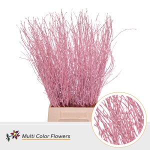 Berk Rose licht – 70cm