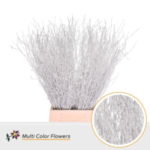 Berk Wit – 70cm