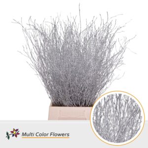 Berk Zilver – 70cm