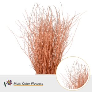 Berk Apricot – 120cm