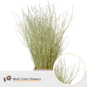Berk Creme – 120cm