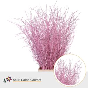 Berk Rose Licht – 120cm