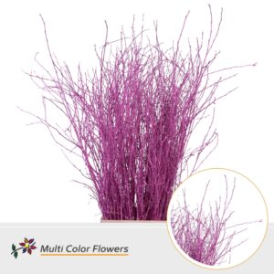 Berk Rose Nieuw – 120cm