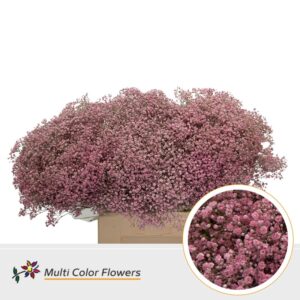 Gyps Fijn Rose nieuw – 60cm