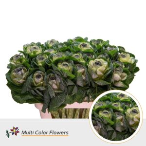 Brassica Naturel Hart Zilver – 70cm