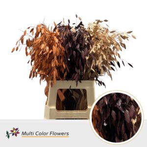 Chasmanthium Herfst Mix – 70cm