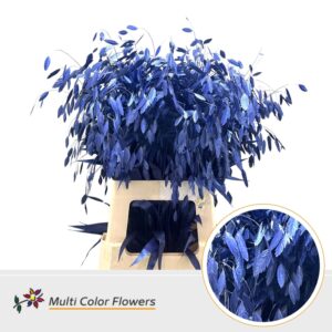 Chasmanthium Metallic Blauw Donker – 70cm