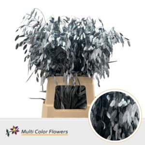 Chasmanthium Metallic Blauw Licht – 70cm