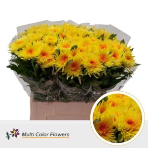 Chr G Anastasia geel Hart Oranje – 70cm