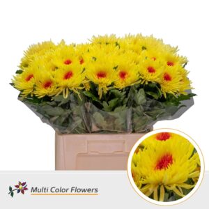 Chr G Anastasia geel Hart Rood – 70cm