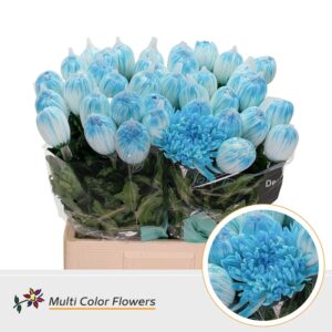 Chr G Antonov Blauw licht – 70cm