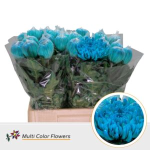 Chr G Antonov Turquoise – 70cm