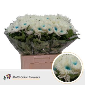 Chr G Topspin wit Hart Blauw licht – 70cm
