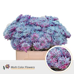 Chr T Baltica Mermaid – 60cm
