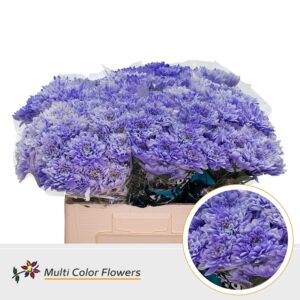 Chr T Baltica Soft Milka – 60cm