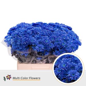 Chr T Euro Blauw donker – 60cm