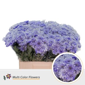 Chr T Euro Soft Milka – 60cm