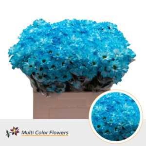 Chr T Kennedy Blauw licht – 60cm
