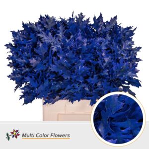 Eik Fijn (60 cm) Frost Blauw donker – 60cm