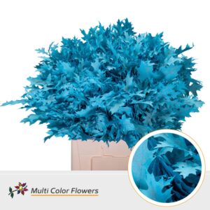 Eik Fijn (60 cm) Frost Blauw licht – 60cm
