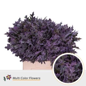 Eik Fijn (60 cm) Frost milka – 60cm