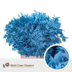 Eik Fijn (80 cm) Frost Blauw licht – 80cm
