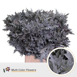 Eik Fijn (80 cm) Frost wit – 80cm