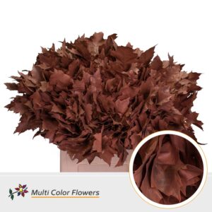 Eik Grof (60 cm) Bruin – 60cm