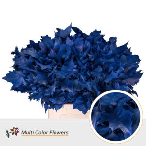 Eik Grof (60 cm) Frost blauw donker – 60cm