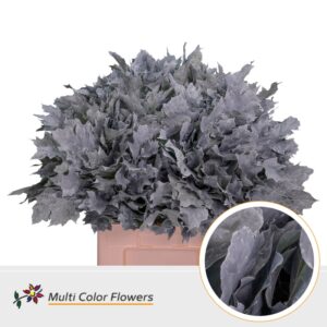 Eik Grof (60 cm) Frost wit – 60cm