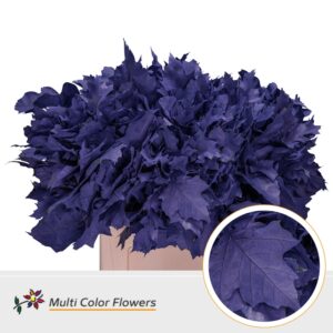 Eik Grof (60 cm) Violet donker – 60cm