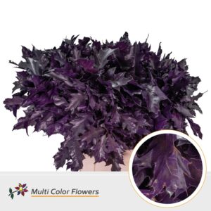 Eik Grof (80 cm) Aubergine – 80cm