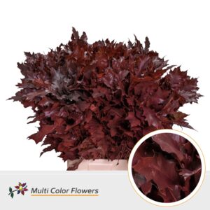 Eik Grof (80 cm) Bordeaux – 80cm