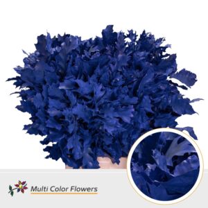 Eik Grof (80 cm) Frost blauw donker – 80cm