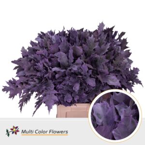 Eik Grof (80 cm) Frost milka – 80cm