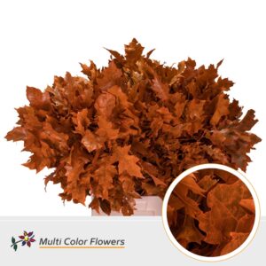 Eik Grof (80 cm) Frost oranje – 80cm