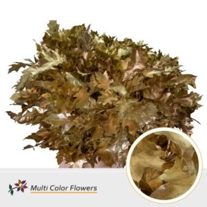 Eik Grof (80 cm) Goud – 80cm